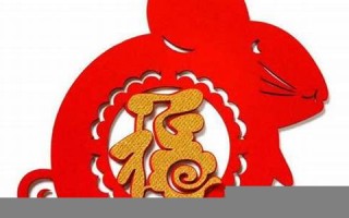 属鼠人出生月的命运(属鼠的月出生最好)