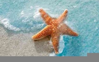 梦见大海(梦见大海是什么预兆)