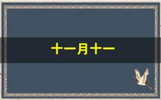 十一月十一(十一月十一日农历是多少)