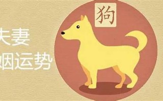 属狗男最佳婚配(属虎男最佳婚配)