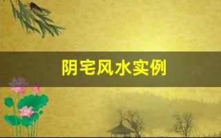 阴宅风水实例(阴宅风水实例图解)