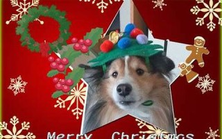 2016年12月11日(2016年12月11日出生的女孩)