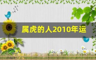 属虎的人2010年运程