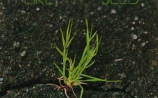 2016年7月29日(2016年7月29日属什么)