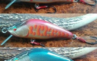 2017年6月06日(2017年6月27日农历是多少)