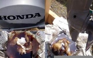 4月29日(4月29日出生的人命运) 4月29日(4月29日出生的人命运)