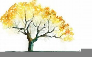 属蛇人2021年下半年运势(属蛇人2025年全年运势运程)