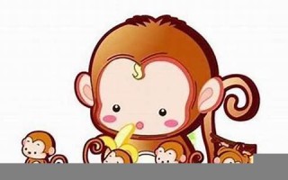 属猴人的婚姻与命运(属猴人的婚姻与命运怎么样)