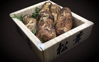 7月28日(7月28日什么日子) 7月28日(7月28日什么日子)