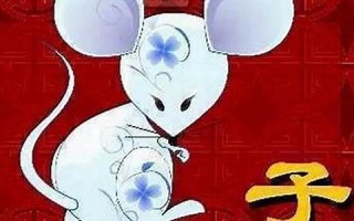 属鼠的和什么属相最配(属鼠的和什么属相不合)