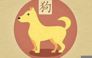 属狗出生月的命运(属狗出生月命运 晚景方能幸福)