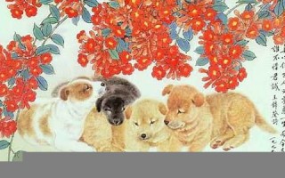 2013属狗的运程(属狗的2013年多大年龄)