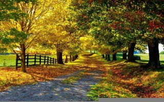 解梦 结婚(解梦 结婚发香烟)