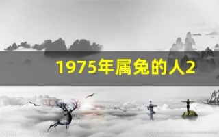 1975年属兔的人2013年运程(1975年属兔的人2020年运势)