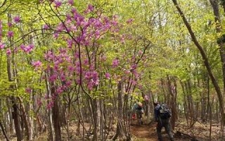 2011年5月8日(2011年5月8日农历是多少)