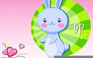 属兔的人2013年运程(属兔的人2013年运程如何) 属兔的人2013年运程(属兔的人2013年运程如何)