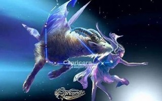 摩羯座女生(摩羯座女生的性格优点和缺点)