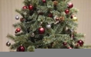 2016年11月16日(2016年11月16日出生的男孩)