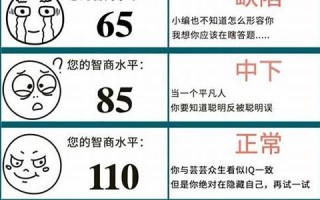 测试iq(测试的英文)