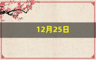 12月25日(12月25日的主人) 12月25日(12月25日的主人)