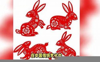 2011年属什么生肖(2011年属什么生肖什么命)