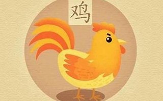 2013属鸡的运程(2013年属鸡) 2013属鸡的运程(2013年属鸡)